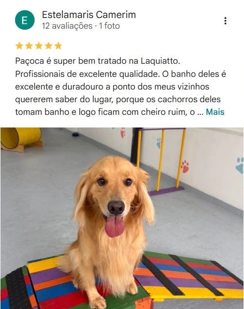 Avaliação 5 estrelas Laquiatto Pet Store