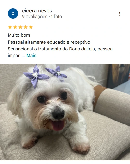 Avaliação 5 estrelas Laquiatto Pet Store