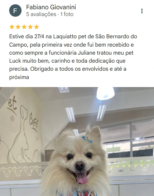 Avaliação 5 estrelas Laquiatto Pet Store