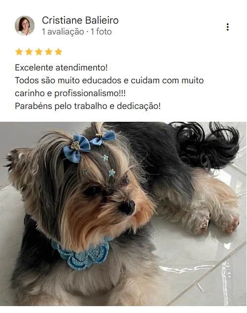 Avaliação 5 estrelas Laquiatto Pet Store