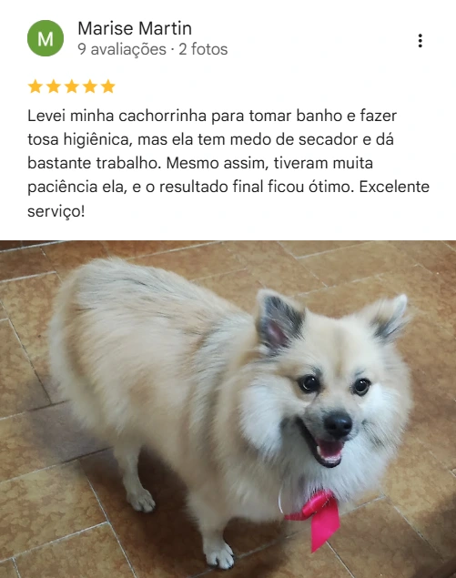 Avaliação 5 estrelas Laquiatto Pet Store