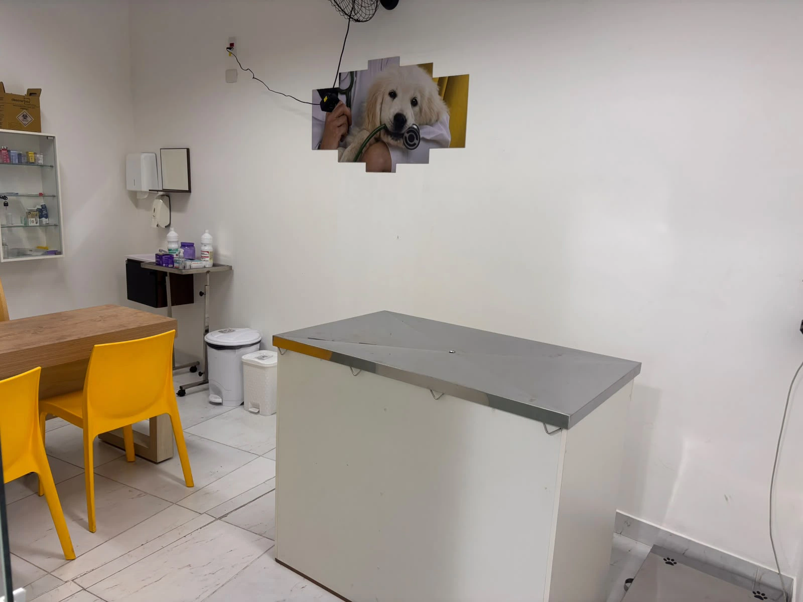 Estrutura da Laquiatto Pet Store - consultório