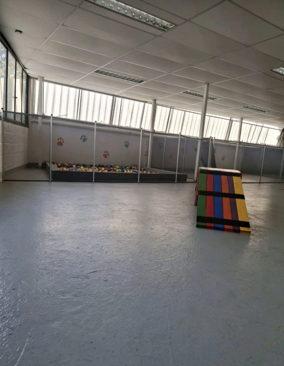 Estrutura da Laquiatto Pet Store