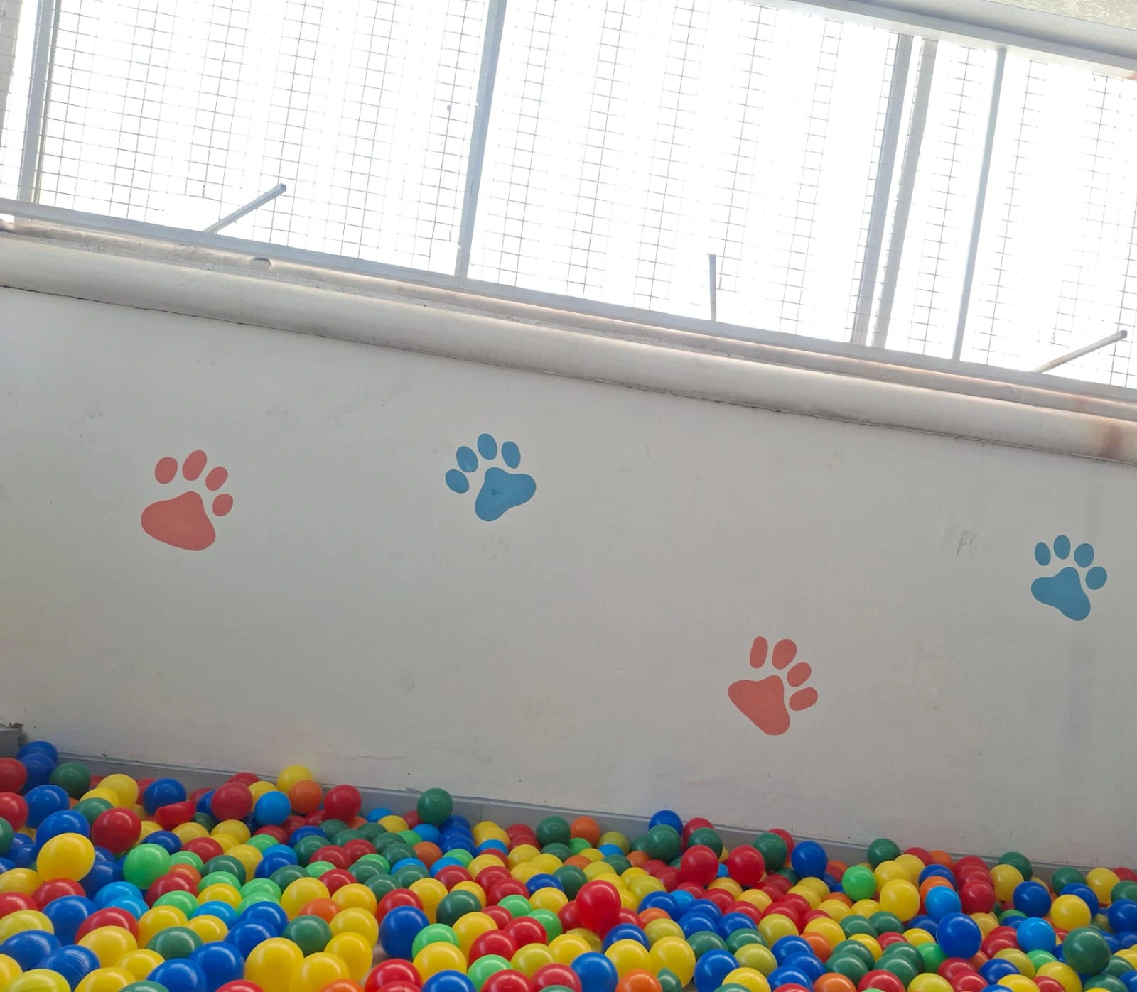 Estrutura da Laquiatto Pet Store
